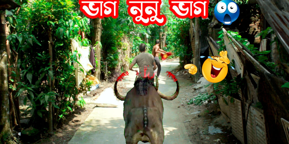 🥵ভাগ নুনু ভাগ👹 | সুটিং করতে গিয়ে একি হাল | আবোল তাবোল হাসির ভিডিও | Luckykey Box Office