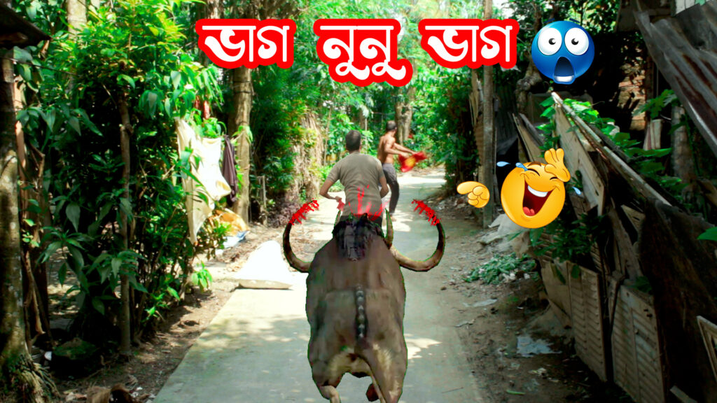 🥵ভাগ নুনু ভাগ👹 | সুটিং করতে গিয়ে একি হাল | আবোল তাবোল হাসির ভিডিও | Luckykey Box Office